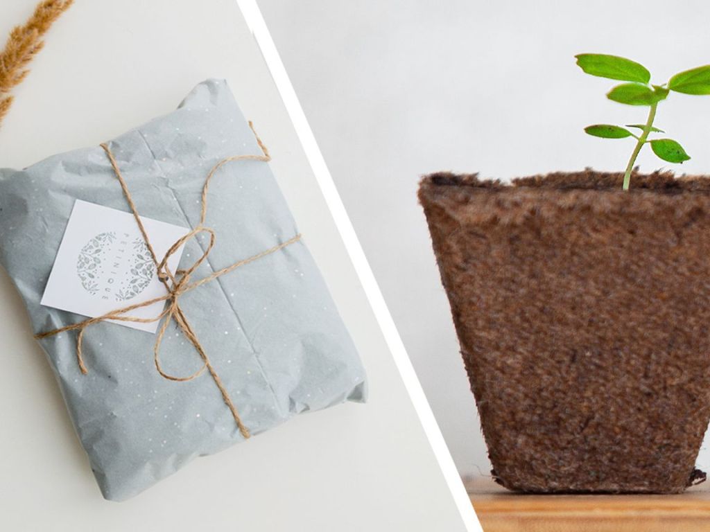 5 Eco-Friendly Gift Ideas